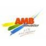 AMB IMMOBILIER AMB IMMOBILIER