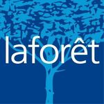 LAFORET Immobilier - VALDESAONE LAFORET Immobilier - VALDESAONE